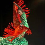 Mallorca: Flamenco Show at Tablao Flamenco Alma with Paella - The Experience: What to Expect from Start to Finish