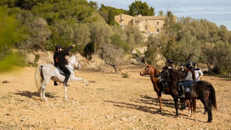 Mallorca: Guided Horseriding Tour of Randa Valley - Itinerary and Trail Highlights
