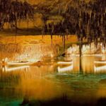 Mallorca: Half-day of Natural Wonders at the Drach Caves - What Travelers Say
