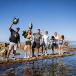 Mallorca: Quad Tour to the top of the mountain & swim - Is It Worth the Price?