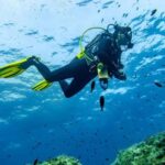 Mallorca: Scuba Dive Adventure Cap Formentor - 1 Dive (license required) - What to Expect: A Well-Organized Underwater Excursion