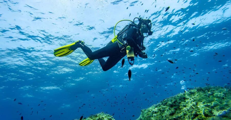 Mallorca: Scuba Dive Adventure Cap Formentor - 1 Dive (license required) - What to Expect: A Well-Organized Underwater Excursion