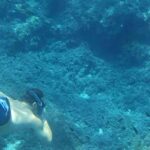 Mallorca: Sóller Boat Tour with Snorkeling and Snacks - The Sum Up