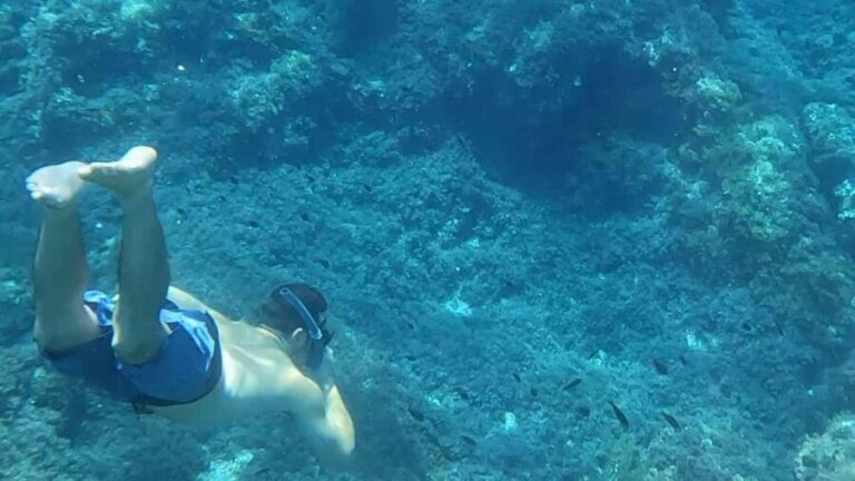 Mallorca: Sóller Boat Tour with Snorkeling and Snacks - The Sum Up