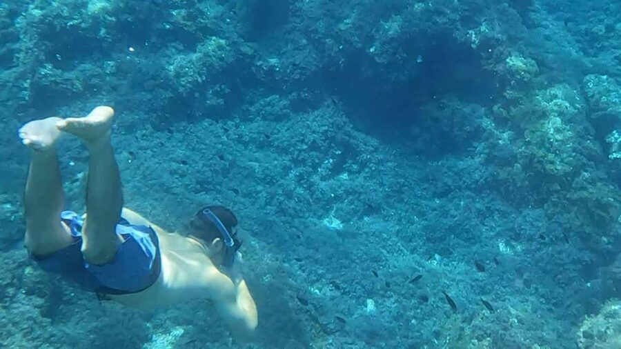 Mallorca: Sóller Boat Tour with Snorkeling and Snacks - The Sum Up