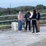 Mallorca: Sunset excursion, horse show, and falconry. - The Equestrian Show and Cultural Highlights