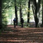 Malmo Bike Rental - Additional Details