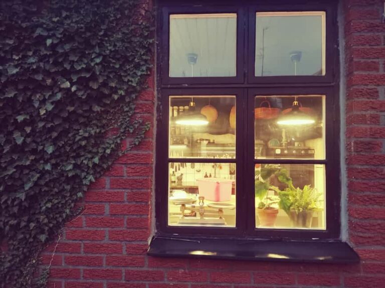 Malmö: Korean Dumplings Cooking Class with Chef So-Young - Value and Practical Considerations