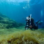 Malta: Open Water Course (PADI) - Diving in Malta: What to Expect