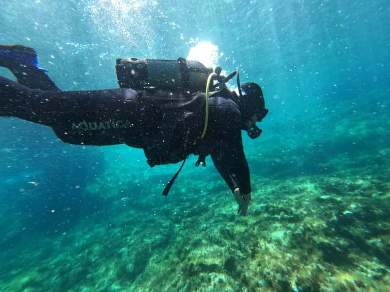 Malta: St. Paul's Bay 1 Day Scuba Diving Course - What’s Not Included and Important to Know
