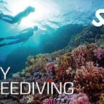 Malta: Try Freediving SSI - Freediving initiation with an instructor in French - The Certification and Continuing the Journey
