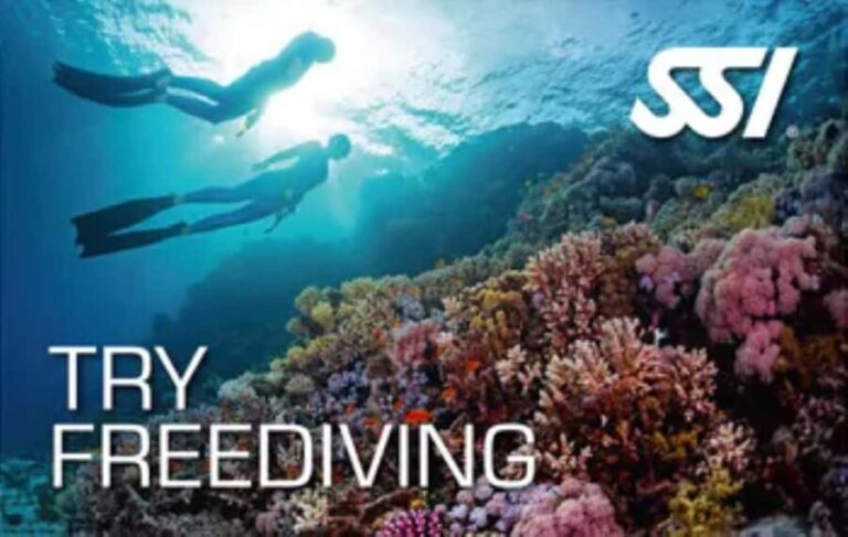 Malta: Try Freediving SSI - Freediving initiation with an instructor in French - The Certification and Continuing the Journey
