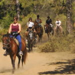 Manavgat Side: Horse Riding on the Beach and in the Forest - What to Expect: Practical Details