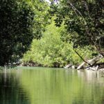 Mangrove Jungle Speedboat Tour in Nichupte Lagoon - FAQ