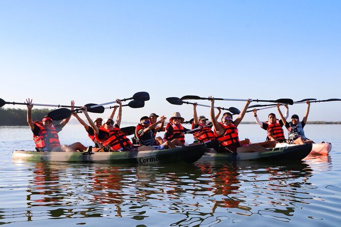 Mangroves Kayaking Tour from Cancun - The Sum Up
