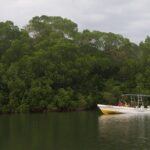 Manialtepec Lagoon from Puerto Escondido - Who Will Love It?