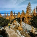 Manning Park: The Quest for the Golden Larch Tree - Who Is This Tour Best For?