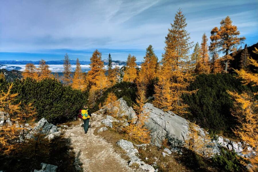 Manning Park: The Quest for the Golden Larch Tree - Who Is This Tour Best For?