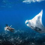 Manta Ray Snorkel in Kailua-Kona with Hot Cocoa - Who Is This Tour Best For?