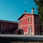 Marche: Tasting and Tour of Local Wines and Tastes at D'Erasmo Winery - Practical Details & Tips
