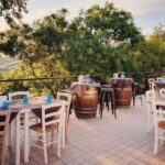 Marche Wines: Explore the Richness of Local Flavors - The Value and Practicalities