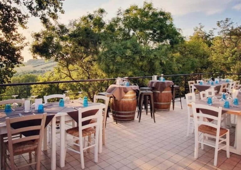 Marche Wines: Explore the Richness of Local Flavors - The Value and Practicalities