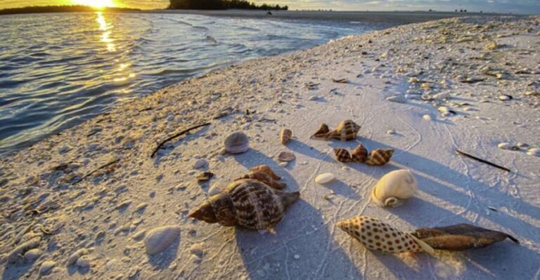 Marco Island: 2 Private Hour Sunset Boat Tour - Practical Details and Expectations