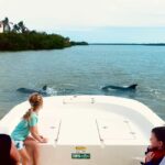 Marco Island: Private Shelling & Dolphin Excursion - Exploring the Islands and Shelling