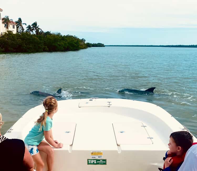 Marco Island: Private Shelling & Dolphin Excursion - Exploring the Islands and Shelling
