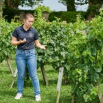 Margaux - Guided tour of the château and tasting of 4 wines - Practical Details and Tips