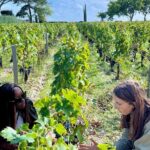 Margaux & the Medoc private wine tour in a classic Citroën car - What Sets This Tour Apart