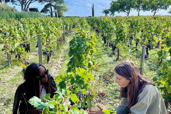 Margaux & the Medoc private wine tour in a classic Citroën car - What Sets This Tour Apart