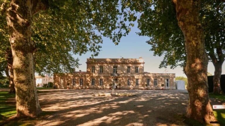 Margaux: Winery Tour with Barrel and Vertical Tasting - What You Can Expect During the Tour