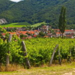 Maribor & Styria Tour with Wine Tasting - Practical Details and What to Expect