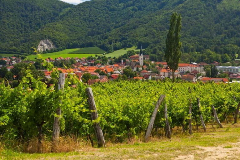 Maribor & Styria Tour with Wine Tasting - Practical Details and What to Expect