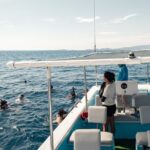 Marine Safari in La Ventana - Practical Details and Tips