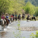 Marmaris: Horse Riding & Safari with Hotel Transfer - The Guide and Safety: Why It Matters