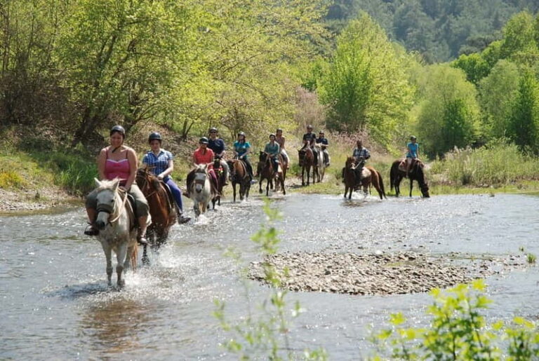 Marmaris: Horse Riding & Safari with Hotel Transfer - The Guide and Safety: Why It Matters