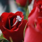 Marriage proposal in San Miguel - What to Expect on the Day