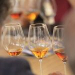 Marsala: Florio Winery Tour with Local Wine Tasting - The Authentic Charm and Lasting Memories