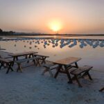 Marsala: Guided tour of the Genna Salt Pans - Why We Think It’s Worth It