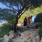 Marseille: Calanques National Park Guided Summit Hike - The Itinerary Breakdown