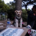 Marseille: Creative hike with watercolors and sketches on the Côte Bleue - FAQ