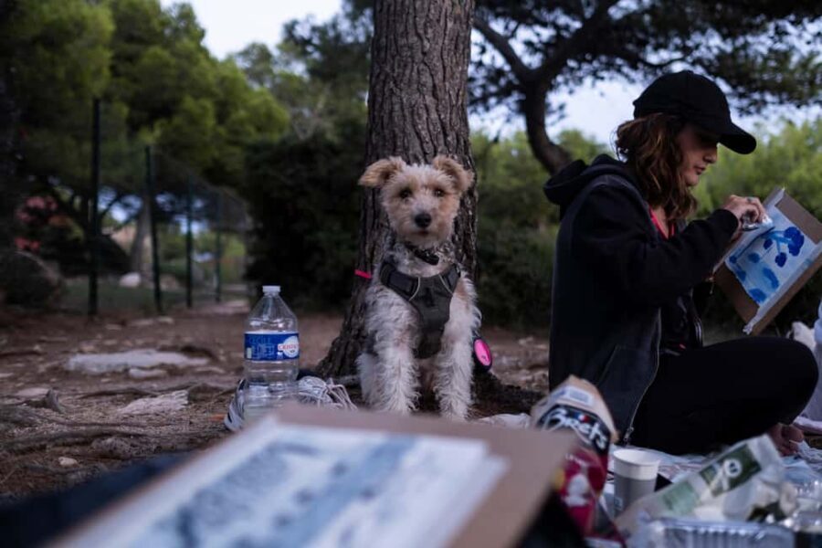 Marseille: Creative hike with watercolors and sketches on the Côte Bleue - FAQ