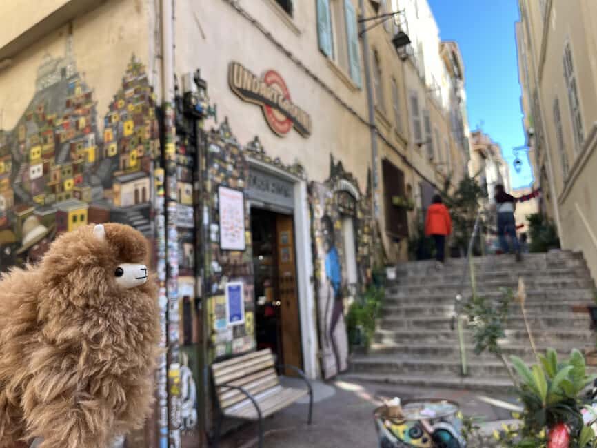 Marseille: Private Customised Walking 2-Hour Tour - The Value of the Experience