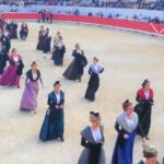 Marseille: The Camargue 8-Hour Guided Outing - Practical Details and What’s Included