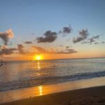 Martinique: Private Tour with Local Guide - Final Thoughts: Who Will Love This Tour?