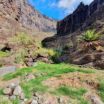 Masca Gorge Guided Hike + Boat Ride + Transport - What’s Included & What’s Not