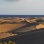 Maspalomas: 1 Hour Segway Sightseeing Tour - What’s Included and What to Expect