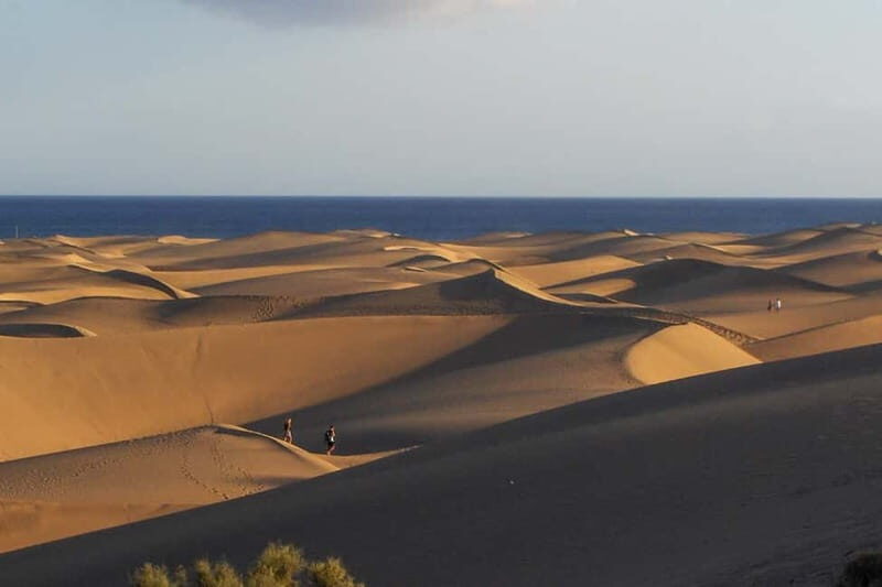 Maspalomas: 1 Hour Segway Sightseeing Tour - What’s Included and What to Expect